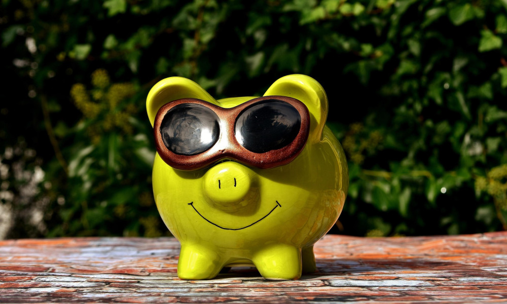 Sparpotenzial im Alltag: Wie Peiner Haushalte durch kleine Änderungen im Konsumverhalten Geld sparen können