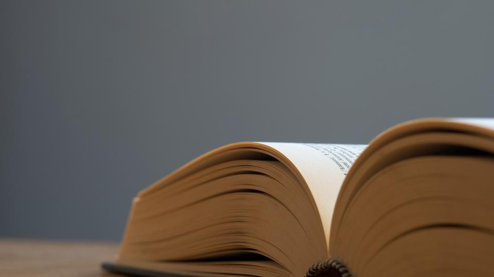 Ya Kelb Bedeutung: Ein Blick auf die Hintergründe und die Verwendung des beliebten Slang-Begriffs. Ya Kelb Bedeutung: Ein Blick auf die Hintergründe und die Verwendung des beliebten Slang-Begriffs.